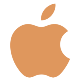 Bookairy iOS app icon